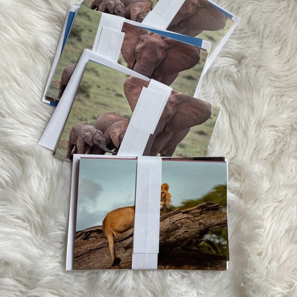 20 Assorted Cards Wild Animal blank inside - Picture 15 of 15